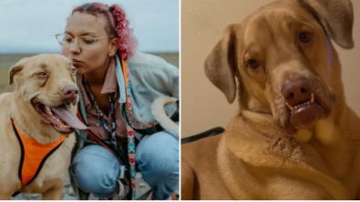 Illustration : "Tombée sous le charme d’un chien à l’apparence atypique, une jeune femme partage son expérience d’un quotidien joyeux et tendre"