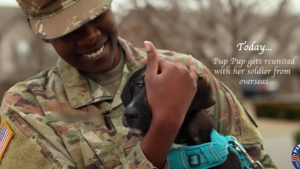 Illustration : "Ayant fait la rencontre émouvante d’un chien errant lors d’une mission, une militaire se bat pour le garder à ses côtés (vidéo)"