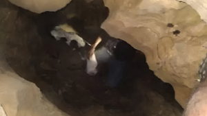 Illustration : "L’exploration d’une grotte prend une tout autre tournure quand des randonneurs découvrent un chien perdu"