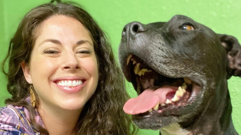 Illustration : Un chien errant et déboussolé se réfugie par hasard chez une femme investie dans la cause canine