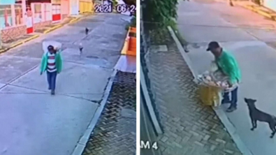 Illustration : Un vendeur de rue généreux vient à la rencontre de chiens dans le besoin (vidéo)