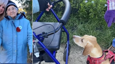 Illustration : "Une femme attentive aux chiens de son entourage depuis plus de 20 ans est mise à l’honneur par plusieurs propriétaires"