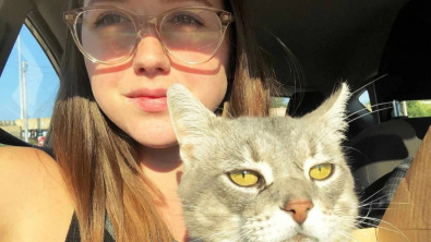 Illustration : "Une femme provoque un débat en indiquant préférer son chat à l’idée d’avoir des enfants"