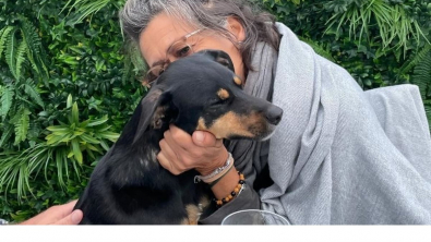 Illustration : Secourue il y a 3 ans, cette chienne retrouve ses sauveurs et saute dans leurs bras (vidéo)
