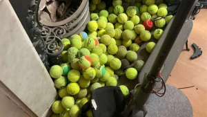 Illustration : "Un Jack Russell de 9 ans collectionne les balles de tennis avec une grande obstination (vidéo)"