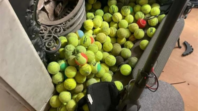 Illustration : "Un Jack Russell de 9 ans collectionne les balles de tennis avec une grande obstination (vidéo)"