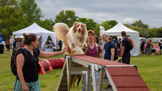 Illustration : Canidays avec Hill’s : un programme sur-mesure pour les chiens et leur famille en quête d’aventure et de moments complices
