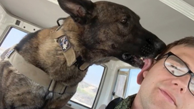 Illustration : "Après des années de service, un chien militaire profite d’une retraite bien méritée auprès de son ancien compagnon d’armes"