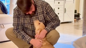 Illustration : "Débordant de joie depuis son adoption, une chienne célèbre chaque retour de son maître de la plus émouvante des manières (vidéo)"