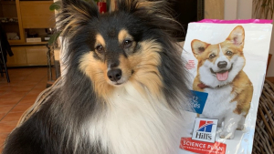 Illustration : "Croquettes Hill’s pour chien : l’avis de notre rédaction"