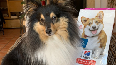 Illustration : Croquettes Hill’s pour chien : l’avis de notre rédaction