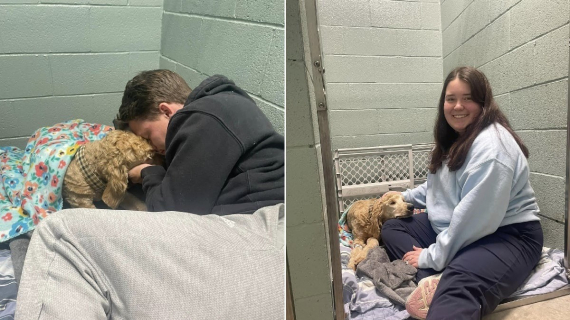 Illustration : Un couple dépense sans compter pour soigner une chienne blessée trouvée au bord d’une route