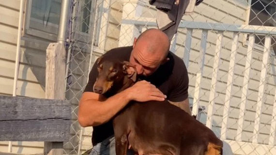 Illustration : Une famille en deuil adopte une chienne qui leur rappelle leur compagnon disparu