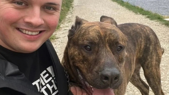 Illustration : Ce chien de refuge dont personne ne voulait sauve la vie de l’homme qui l’a adopté