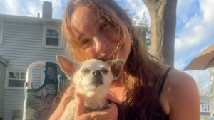 Illustration : "Ce vieux Chihuahua de 18 ans est adopté et profite enfin d’une retraite bien méritée (vidéo)"