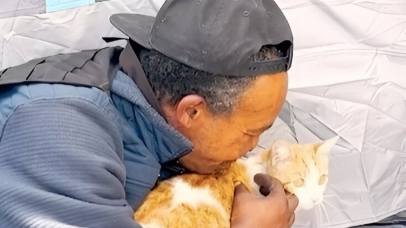 Illustration : Une chatte errante et enceinte est sauvée par un sans-abri et les soins d’un vétérinaire