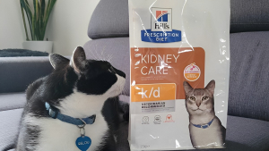 Illustration : "Croquettes Hill’s pour chat : l’avis de notre rédaction"