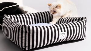 Illustration : "Choupette, la célèbre chatte de Karl Lagerfeld, s’invite chez Maisons du Monde pour une collection exclusive"