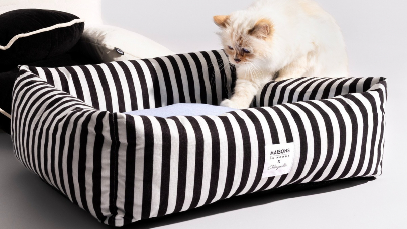 Illustration : Choupette, la c&eacute;l&egrave;bre chatte de Karl Lagerfeld, s&rsquo;invite chez Maisons du Monde pour une collection exclusive