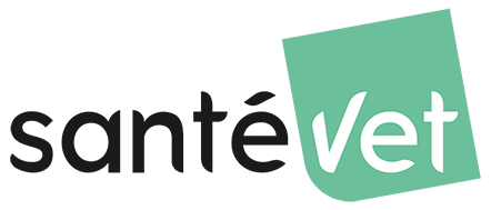 Logo sponsor